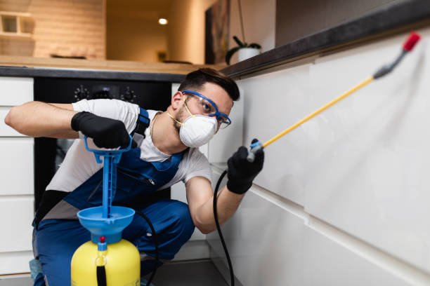 Best Pest Removal Services  in Rochester Hills, MI