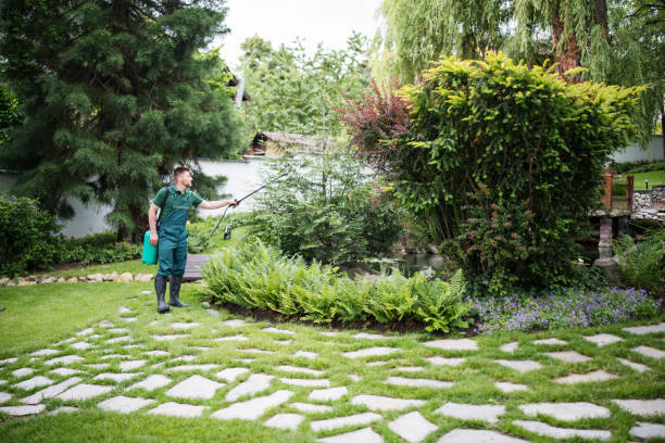 Best Best Pest Control Companies  in Rochester Hills, MI