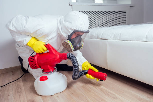 Professional Pest Control in Rochester Hills, MI