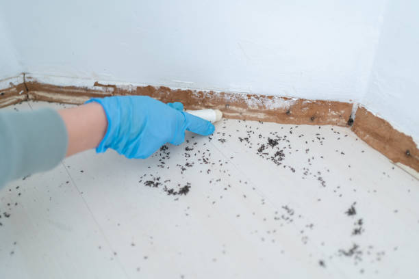 Best Best Pest Control Companies  in Rochester Hills, MI