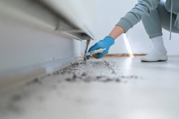 Best Affordable Pest Control Services  in Rochester Hills, MI